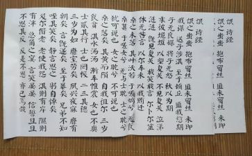 氓读后感1000字作文优秀6篇