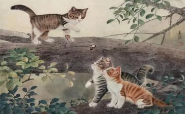 老鼠和猫的教案推荐7篇