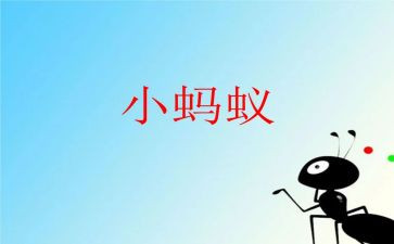 小蚂蚁飞上天教案5篇