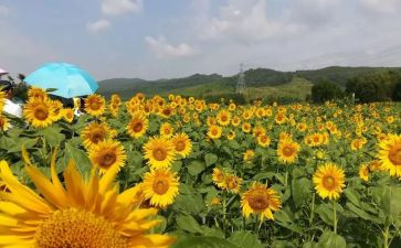 中班美教师个人总结优质6篇