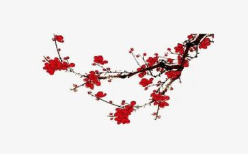 我爱梅花作文6篇