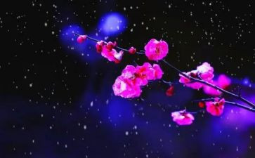梅花梅读后感8篇