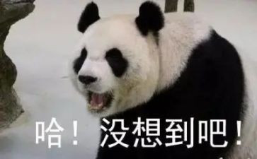 我没想到作文参考6篇