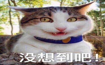 我没想到作文推荐5篇