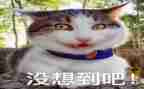 我真没想到的作文推荐7篇