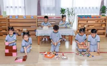 幼儿园小班蒙氏教学总结5篇