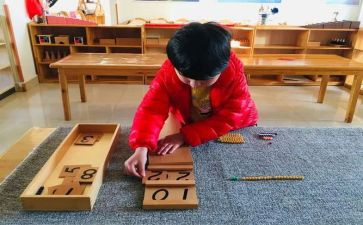 蒙氏加法组教案模板5篇