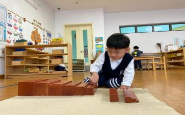 幼儿园蒙学教案优质5篇