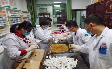 蒙医师工作总结8篇