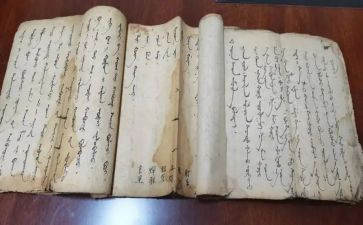 蒙医工作总结报告优秀8篇