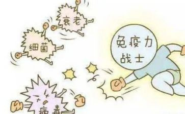 计划免疫个人总结8篇