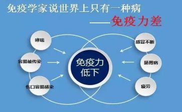 免疫个人总结6篇