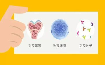 免疫科工作总结优质5篇