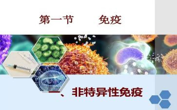 犬免疫工作总结5篇