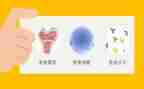 免疫科工作总结优质5篇