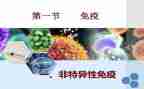犬免疫工作总结5篇