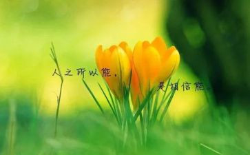名人传的,读后感参考8篇