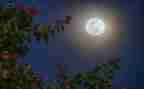 明月光作文5篇
