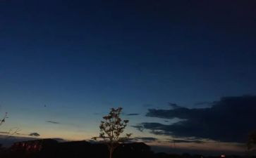 迷人的书教案参考7篇