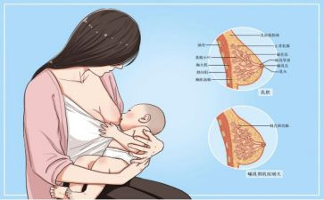 母乳喂养宣传活动总结8篇