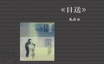 目送二读后感8篇
