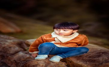 男孩与树的故事读后感7篇