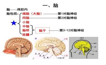 脑外科护理心得6篇