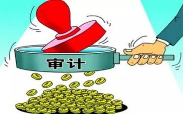 区内审工作总结7篇