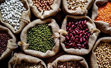 农产品质量工作总结模板5篇