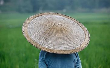 农夫和鹰的故事读后感6篇