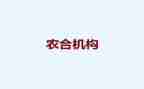 农合联个人总结参考8篇