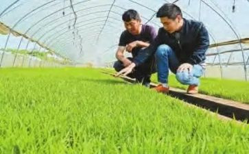2024农技培训心得体会7篇
