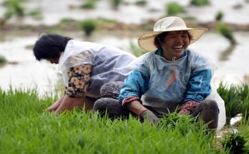 新型职业农民培训心得8篇