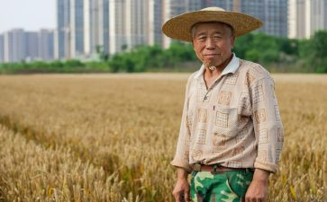 农民增收工作总结5篇