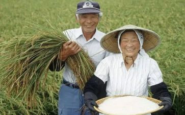 农民活动方案7篇