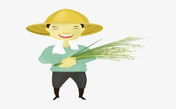 农民画活动方案8篇