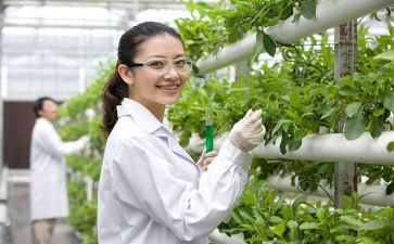 农艺工个人总结8篇
