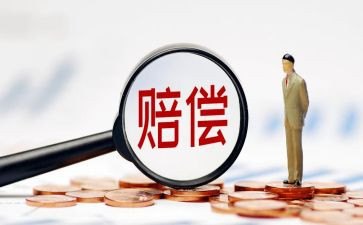 申请行政赔偿申请书5篇