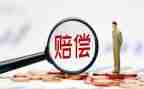 申请行政赔偿申请书5篇