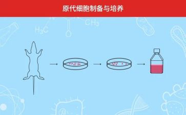 双培养心得体会5篇