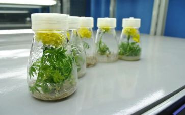 培养青年教师工作总结6篇