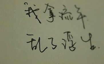 漂亮猪读后感8篇