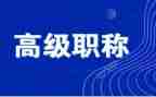 评高级职称专业技术工作总结5篇