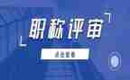 复评审工作总结7篇