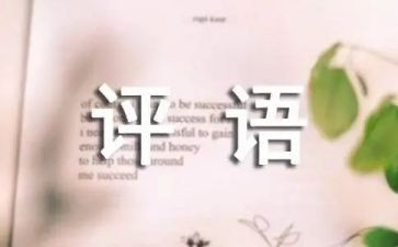 差评语作文精选6篇