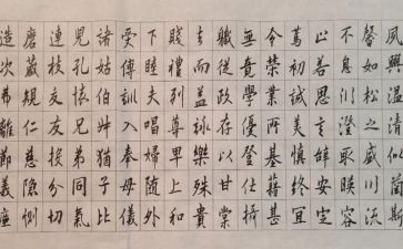 写千字文的心得体会5篇