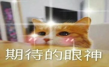 期待作文600字模板6篇