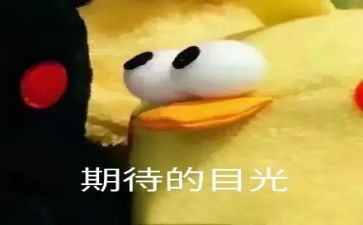 作文《期待》500字6篇