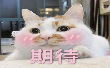 2024年我的期待作文7篇