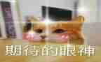 期待我的2024作文模板5篇